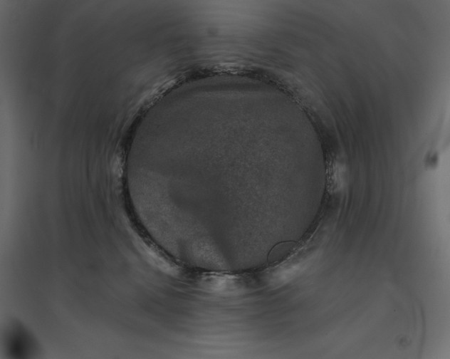 X0000094440472200711211500