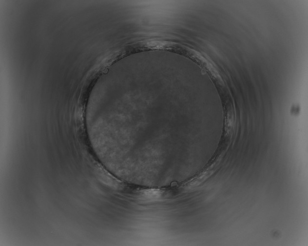 X0000094440473200711211500