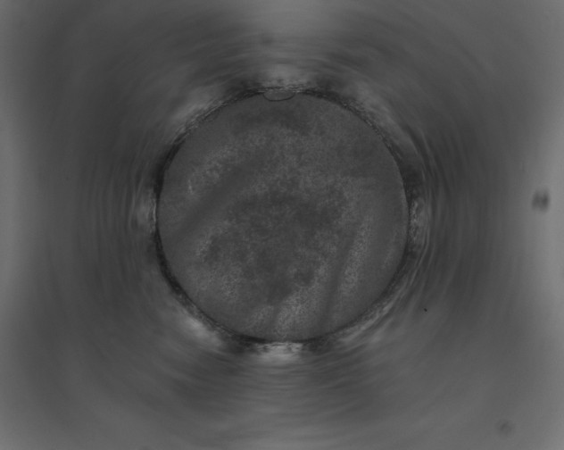 X0000094440474200711211500