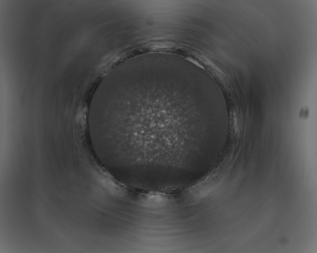 X0000094440475200711211500