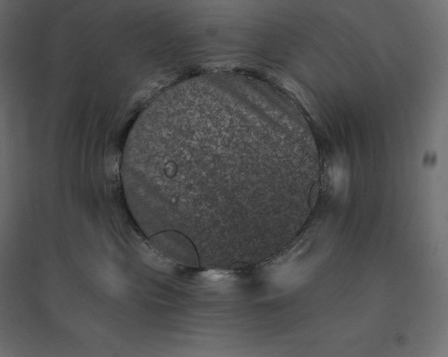 X0000094440477200711211500