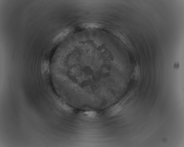 X0000094440478200711211500