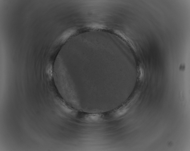 X0000094440479200711211500