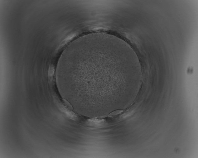 X0000094440480200711211500