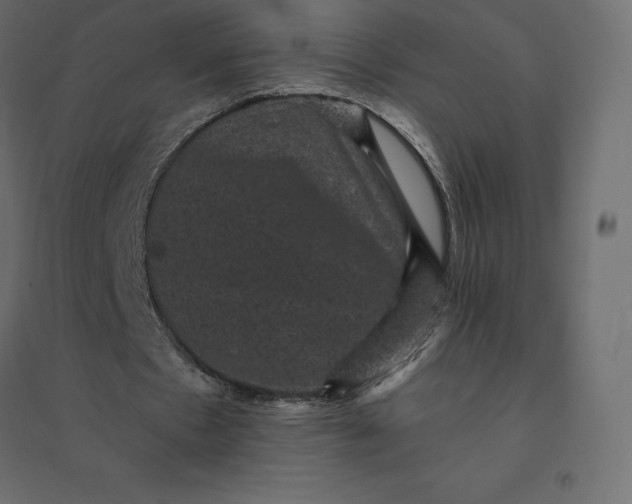 X0000094440481200711211459