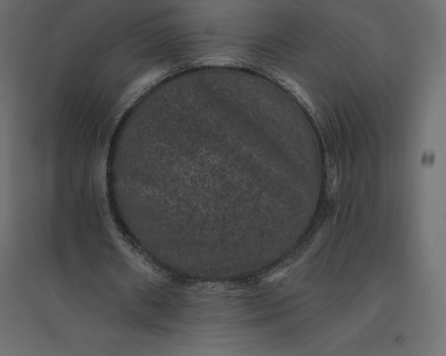 X0000094440482200711211459