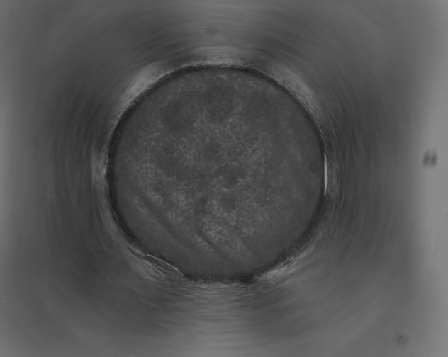 X0000094440483200711211459