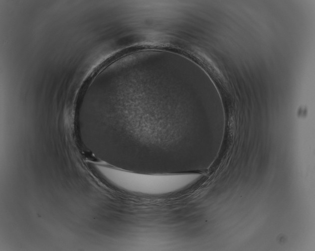 X0000094440484200711211459