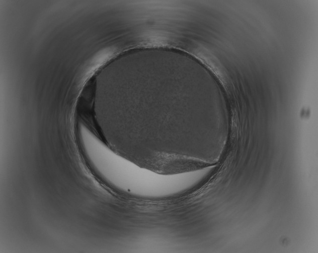 X0000094440485200711211459