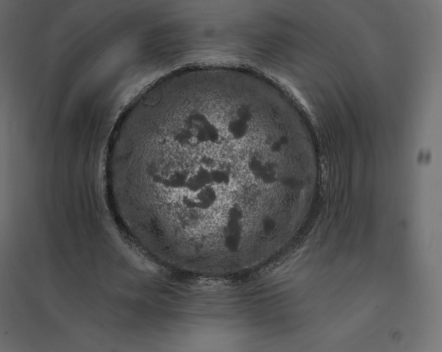 X0000094440487200711211459