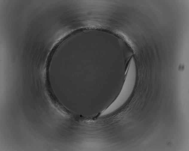 X0000094440488200711211459