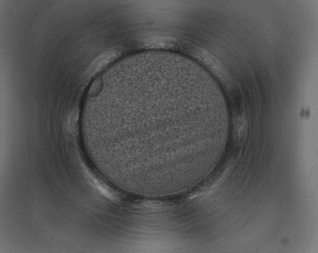 X0000094440490200711211459