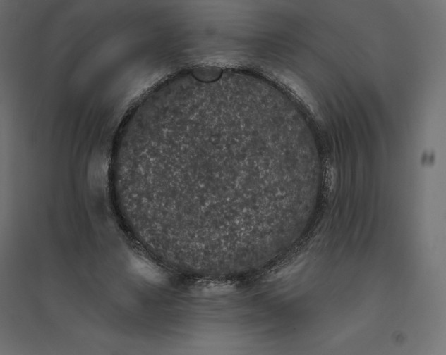 X0000094440491200711211459