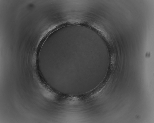 X0000094440492200711211459