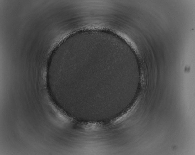 X0000094440493200711211459