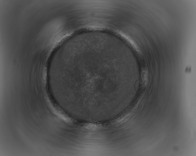 X0000094440494200711211459