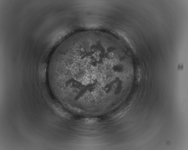 X0000094440495200711211459