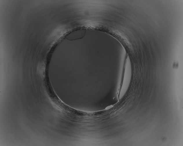 X0000094440496200711211459