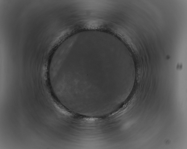 X0000094440497200711211459