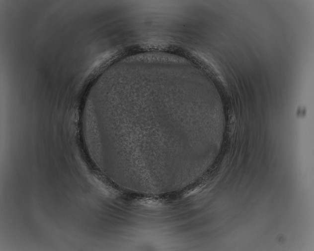 X0000094440498200711211459