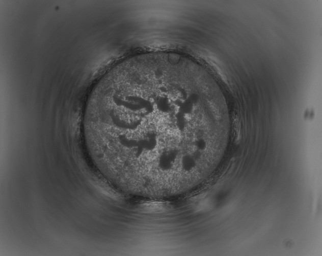 X0000094440499200711211459