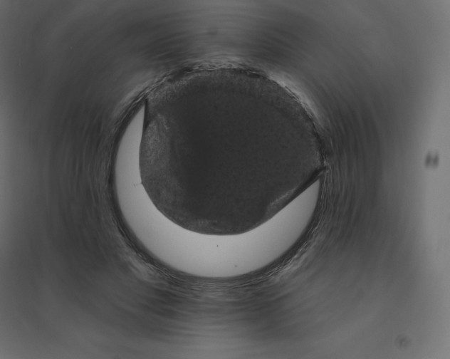 X0000094440501200711211459