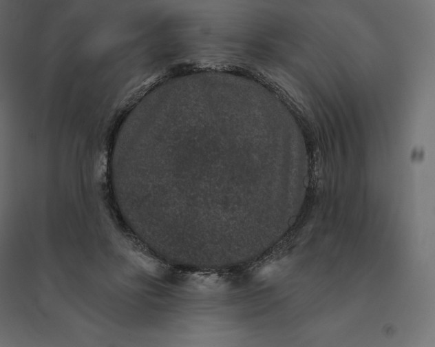 X0000094440502200711211459