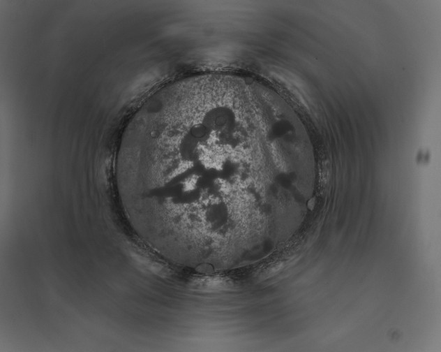 X0000094440503200711211459