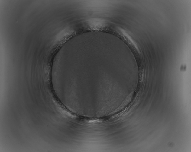 X0000094440505200711211459