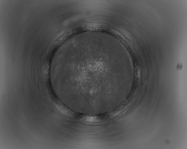 X0000094440507200711211459