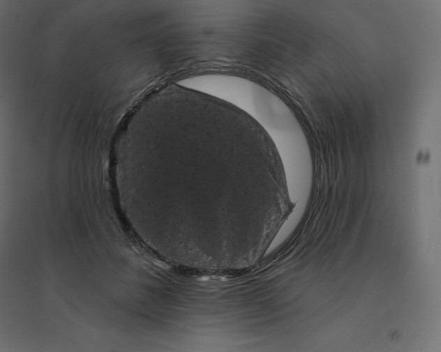 X0000094440508200711211459