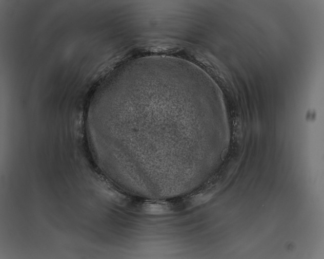 X0000094440510200711211459