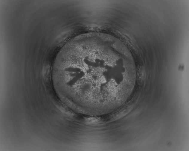 X0000094440511200711211459