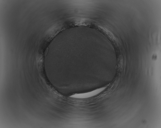 X0000094440513200711211459