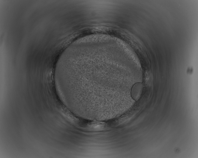 X0000094440514200711211459