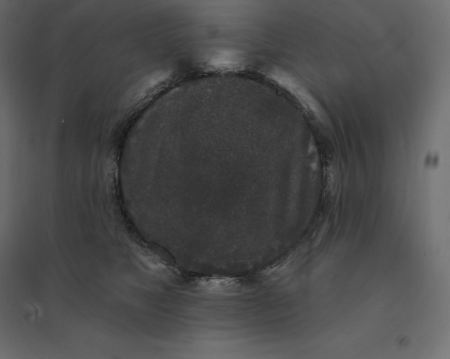 X0000094440517200711211459