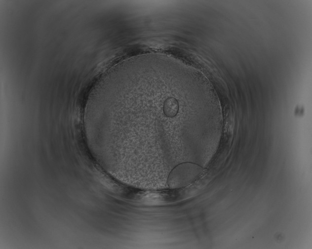 X0000094440518200711211459