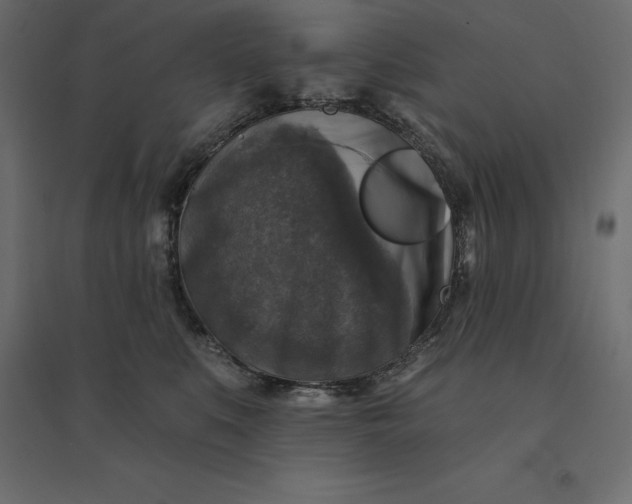 X0000094440519200711211459