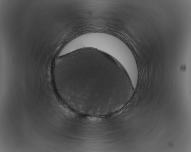 X0000094440520200711211459