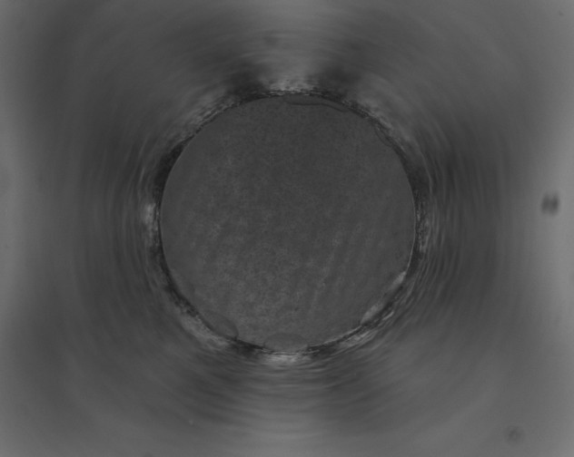 X0000094440521200711211459