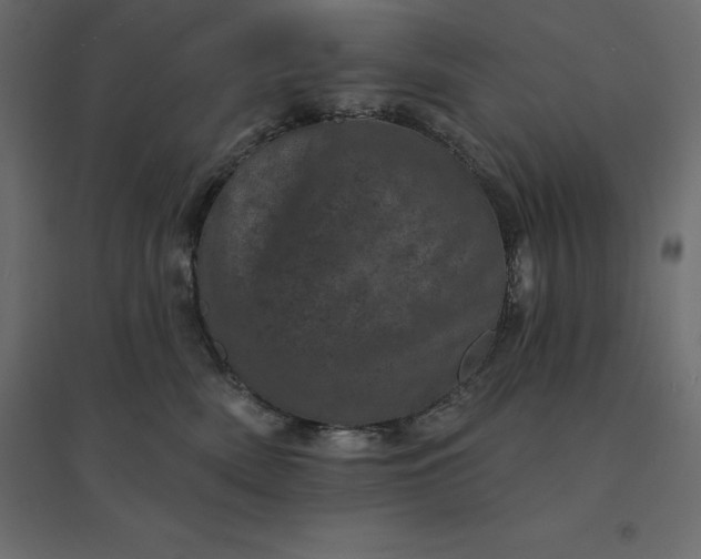 X0000094440522200711211459