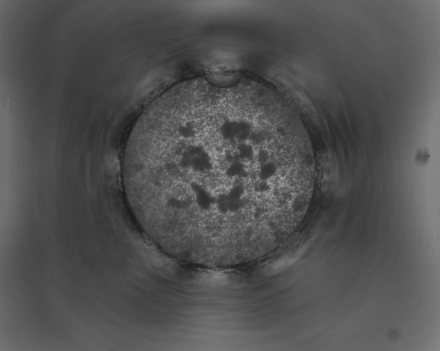 X0000094440523200711211458