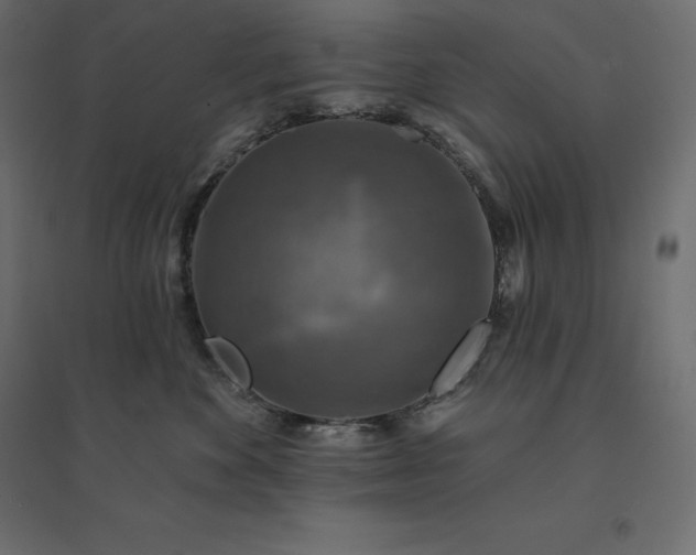 X0000094440524200711211458