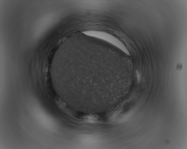 X0000094440525200711211458