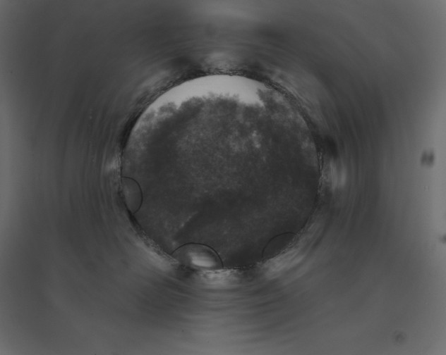 X0000094440526200711211458