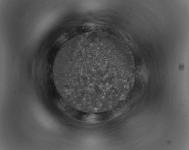 X0000094440527200711211458