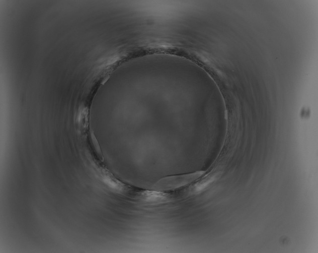 X0000094440528200711211458