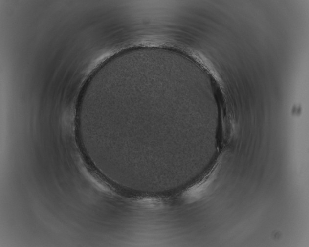 X0000094440530200711211458