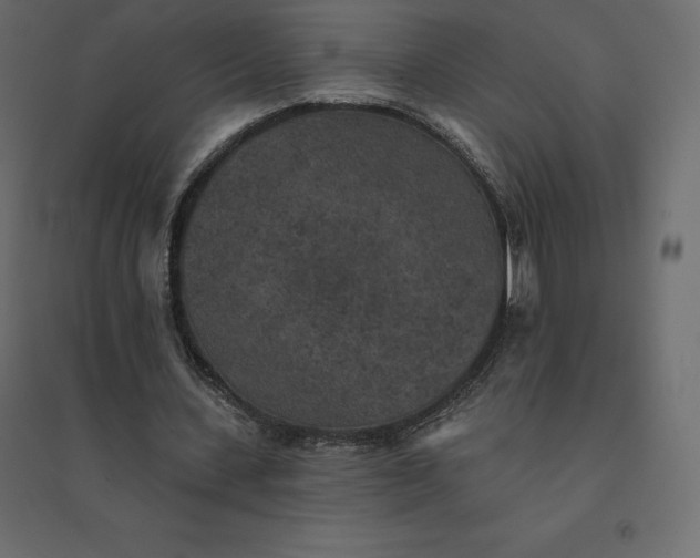 X0000094440531200711211458