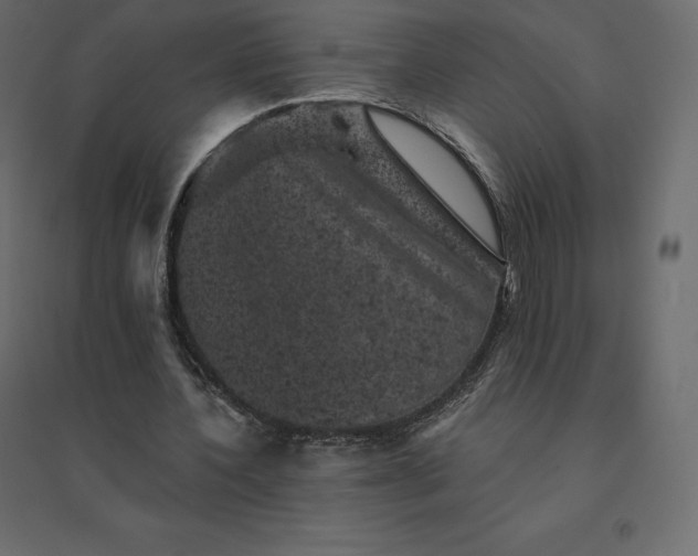 X0000094440532200711211458